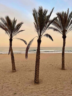 Sun-loungers, beach towels - Seafront apartment on the last and fifteenth floor with incredible view (El Campello)