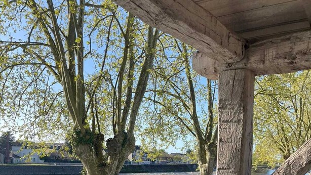 A covered outdoor area with a view of a river and trees. - Apartment Quai 75 - 5 stars - Vienna view (Châtellerault)