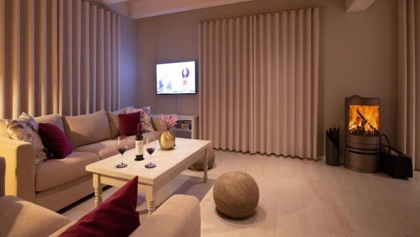 A modern living room with a sofa, coffee table, and a fireplace. - Seenixe by Interhome (Altwarp)