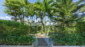 Um caminho serpenteia por um jardim com diversas plantas e árvores.