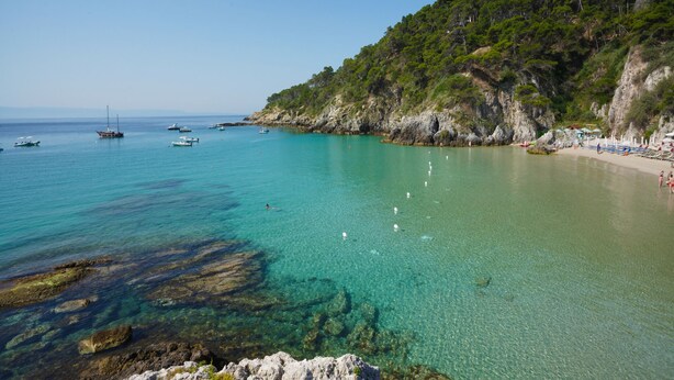 A coastal scene with clear turquoise water, rocky shorelines, and a forested hill. - TCI Isole Tremiti (Tremiti Islands)