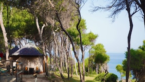 A rustic wooden building with a sloped roof, surrounded by trees and a gravel path leading to a body of water. - TCI Isole Tremiti (Tremiti Islands)