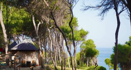 TCI Isole Tremiti