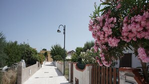 A paved pathway leading to a building with a gated entrance, a street lamp, and a tree with pink flowers. - TCI Isole Tremiti (Tremiti Islands)