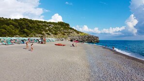 Playa privada, sombrillas y bar en la playa 