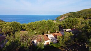 Un pueblo costero con casas rodeadas de árboles y vista al mar.