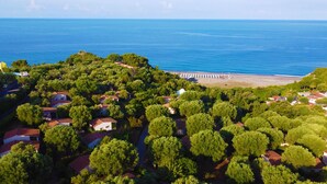 Vista aérea de una zona residencial costera con casas, árboles y una playa.