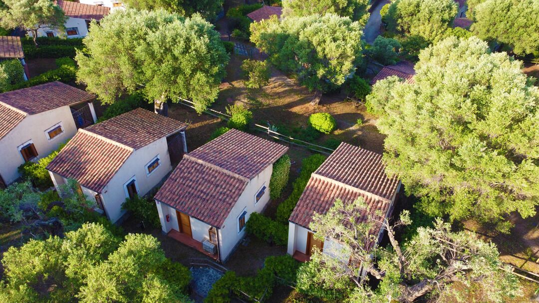 A residential area with houses featuring red-tiled roofs and surrounded by lush greenery.