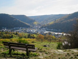 Property grounds - Moselidyll-Traumferienwohnung in exponierter Moselufer-Lage by Interhome (Traben-Trarbach)