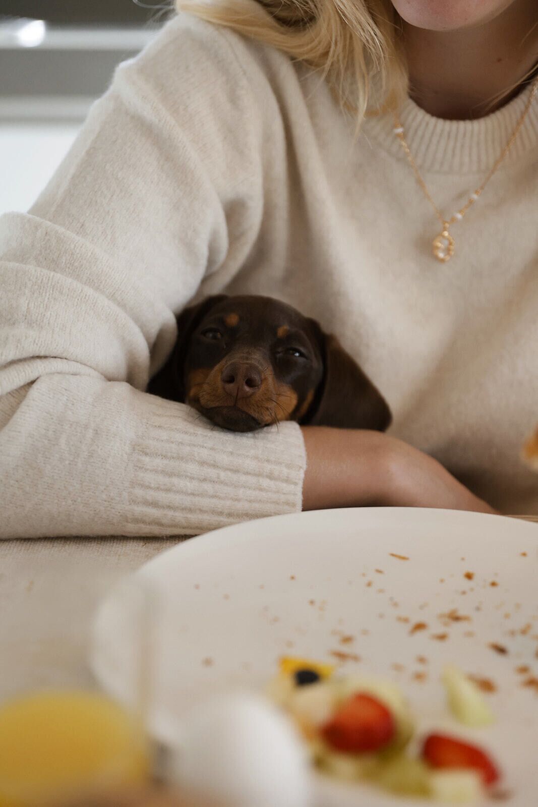 Uma pessoa usando um suéter bege e um colar, sentada à mesa com um prato de comida e um cão espreitando a borda.