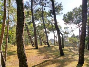 Property grounds - St Josse Farmhouse accommodation - Le Touquet. by Interhome (Montreuil)