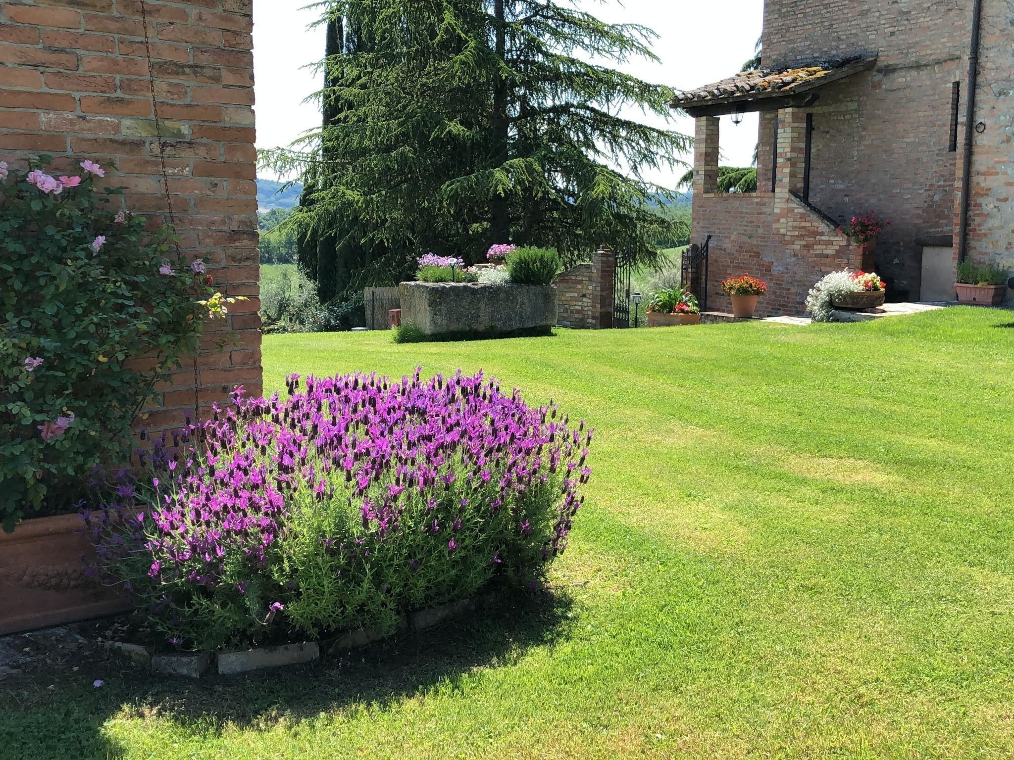 Parco della struttura