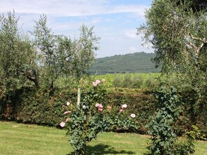 Property grounds - für 3 Personen  + 1 Kind ca. 75 m² in Cortona, Toskana (Provinz Arezzo) by Interhome (Cortona)
