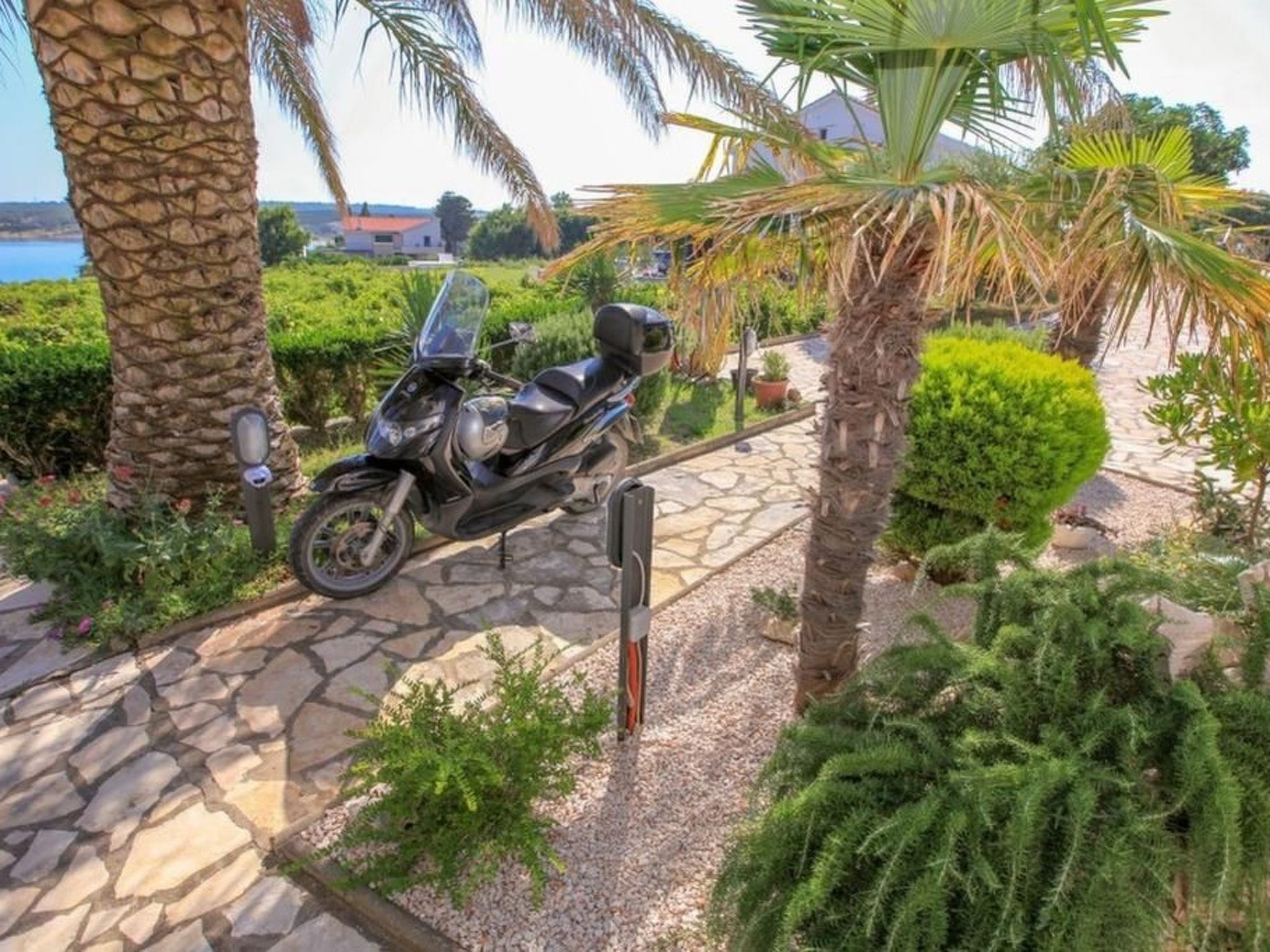 Terrain de l’hébergement 