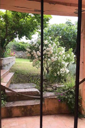 Property grounds - Appartement in Rovinj mit Terrasse und Garten by Interhome (Rovinj)