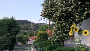 Property grounds - Vacation home Niki by Interhome (Pirgadikia)