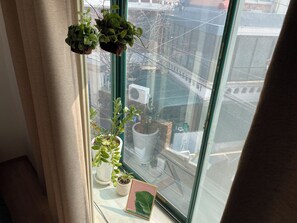 A window with potted plants, a framed leaf, and a view of buildings and a street outside. - 3-bedroom apartment in Central Seoul (Seoul)