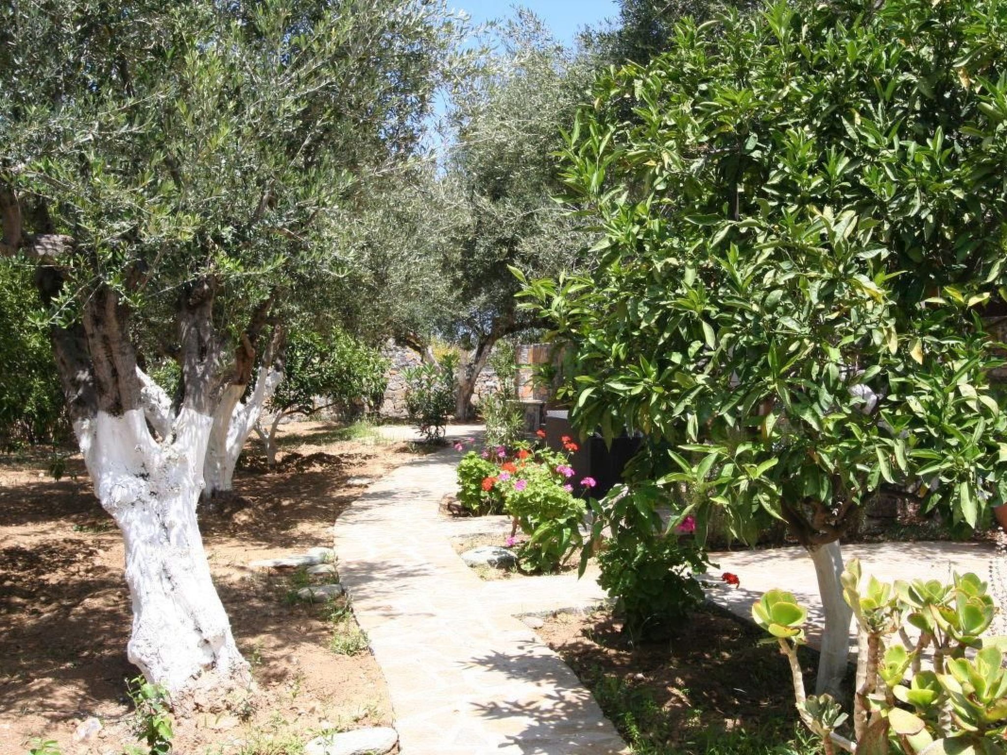 Jardines del alojamiento