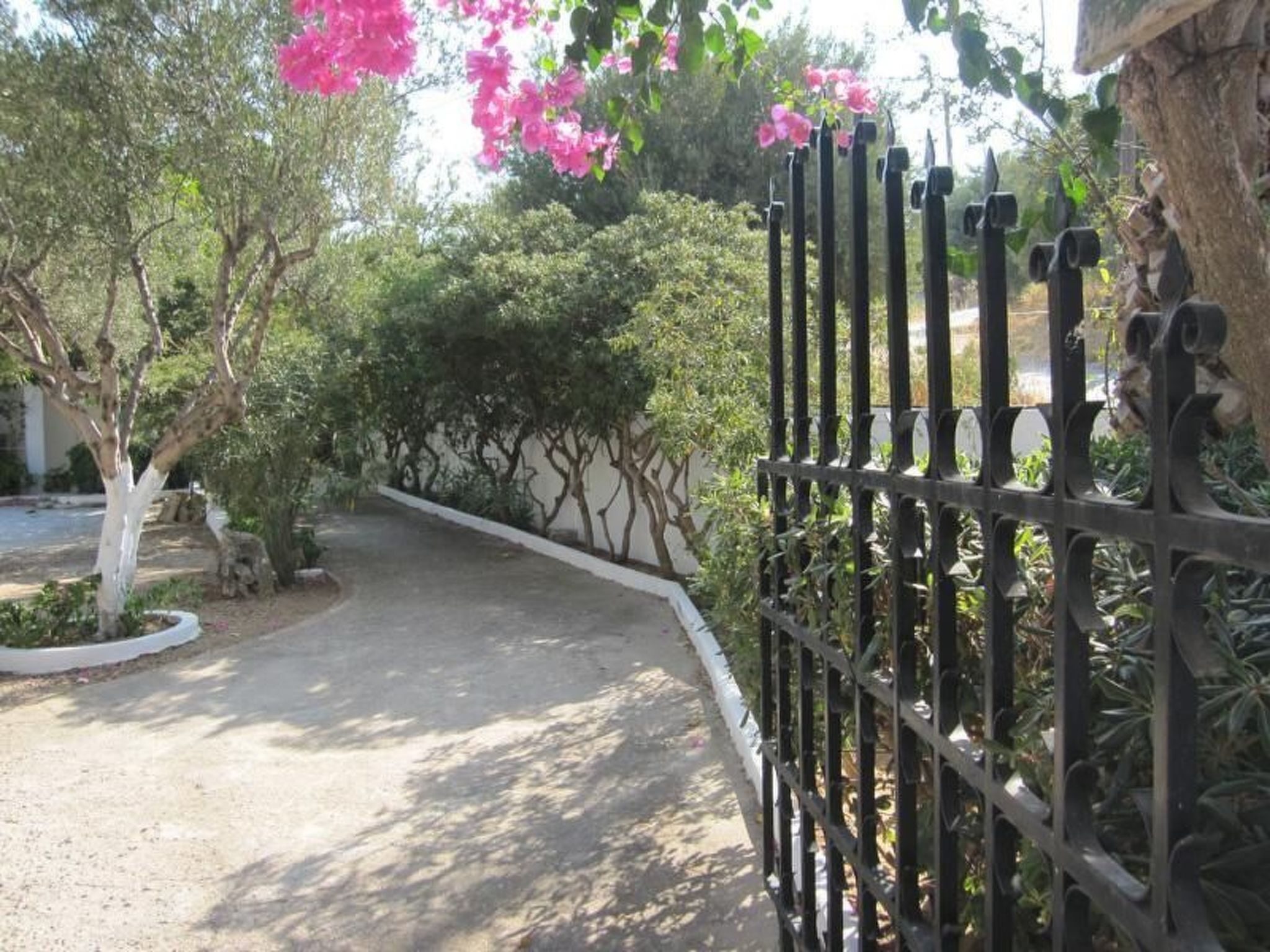 Área da propriedade