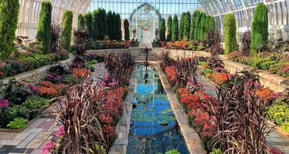 King Bed | Dedicated Workspace | Central Location