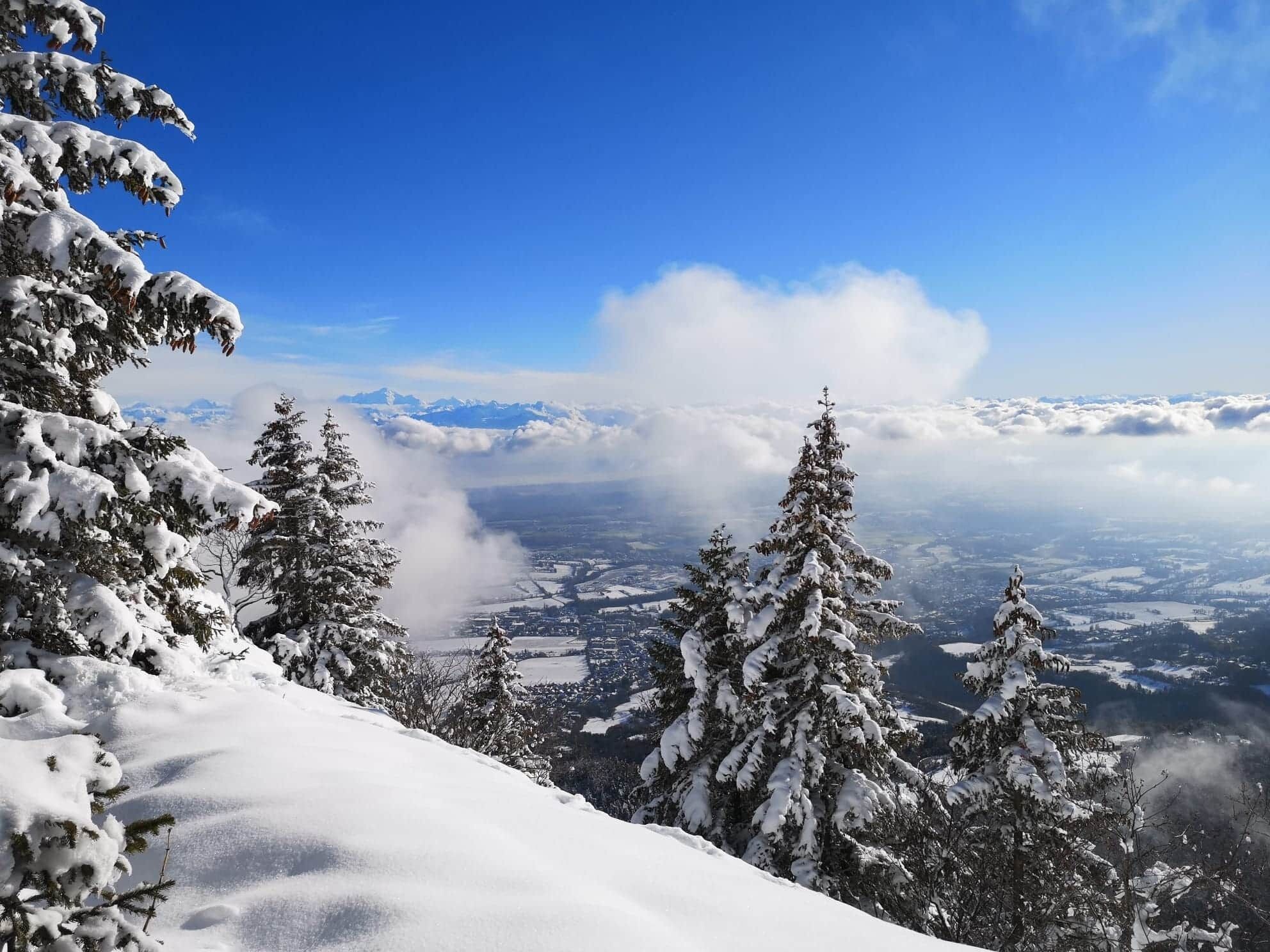 Paesaggio montano innevato con alberi sempreverdi e cielo azzurro intenso.