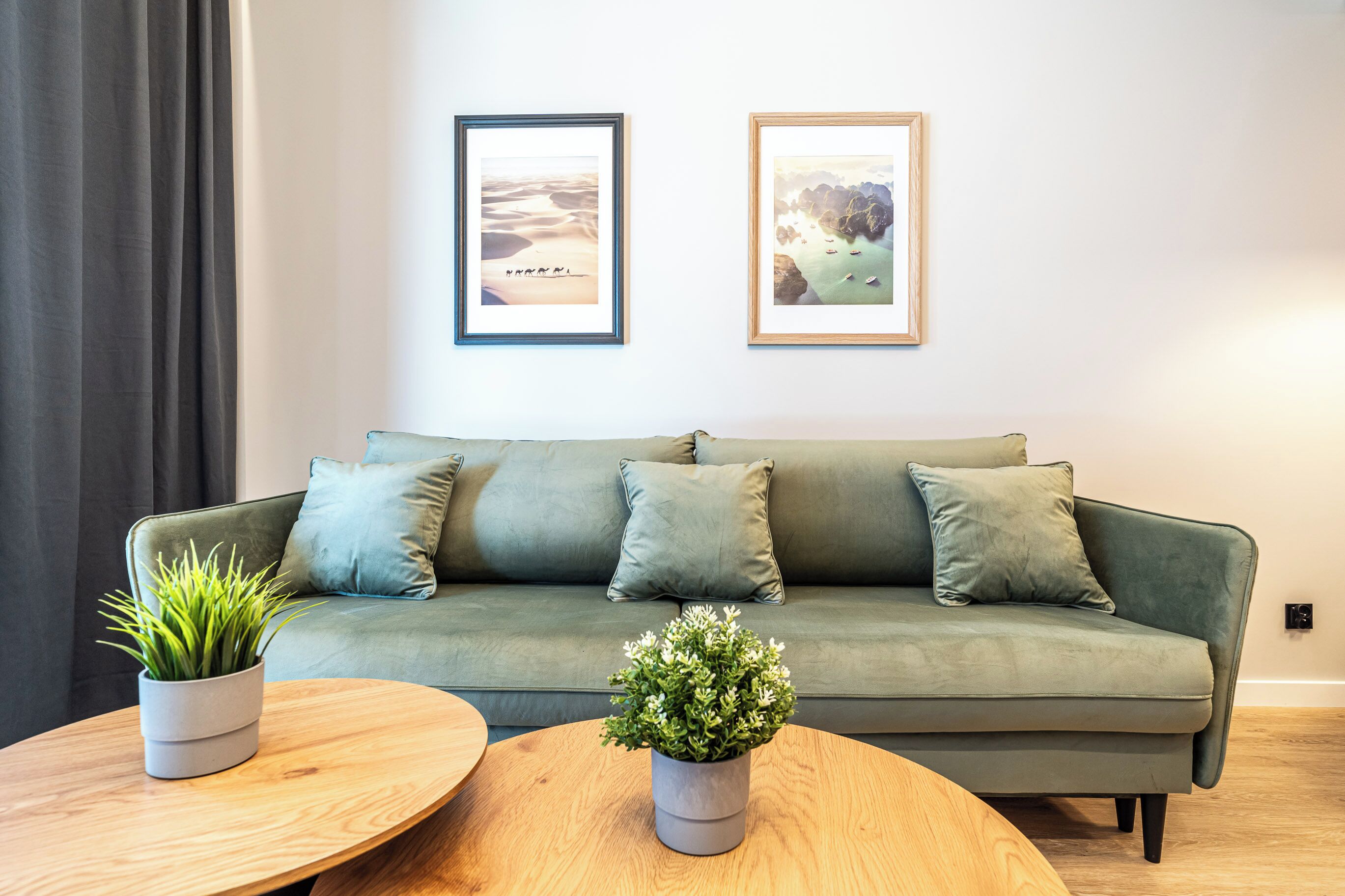 A modern living room with a green sofa, two framed pictures, and two potted plants on a wooden coffee table.