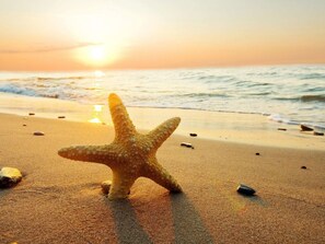 Spiaggia