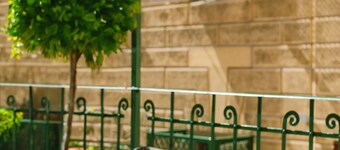 Bob W Florence Santa Croce