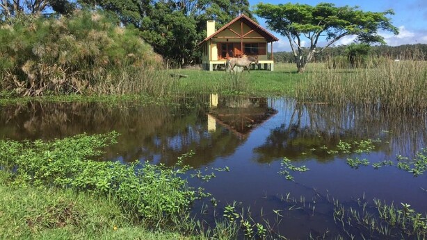 A house with a red roof and yellow walls, surrounded by a pond and trees. - La Ranita Negra Casa Mariposa by Interhome (La Paloma)