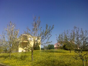 Property grounds - Ferienvilla "Fabulous Vila Ivanka" by Interhome (Čitluk)