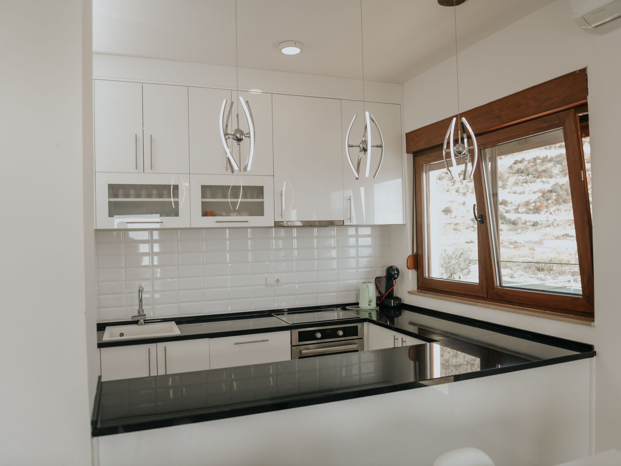 Fridge, oven, dishwasher, cookware/dishes/utensils