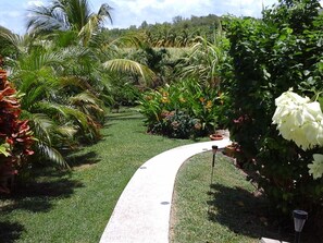 Property grounds - Schönes Ferienhaus auf Martinique by Interhome (La Trinité)