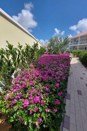 Property grounds - Blije Rust 2 - Penthouse Curadise by Interhome (Willemstad)