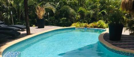 A swimming pool with a tiled edge, surrounded by lush greenery and palm trees.