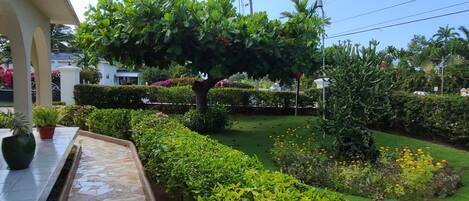 Jardines del alojamiento