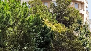 A multi-story building with balconies, surrounded by dense greenery. - Möbliertes Studio Agachadou 25m2 mit 3 Terrassen 36m2 by Interhome (Marseille)