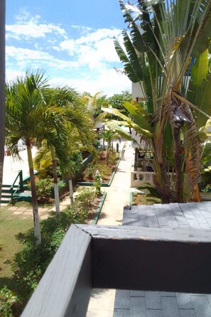 Terrace - Studio-Wohnung "Studio mit Strand" by Interhome (Belleair)
