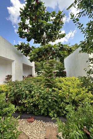 Property grounds - Gemütlicher Bungalow im Fukuchani Inn by Interhome (Matemwe)