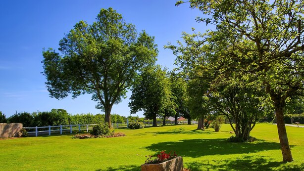 A grassy outdoor area with trees and a white fence. - Gîte LEBASLADIN for 7 Guests – Renovated Holiday Home in Lison (Lison)