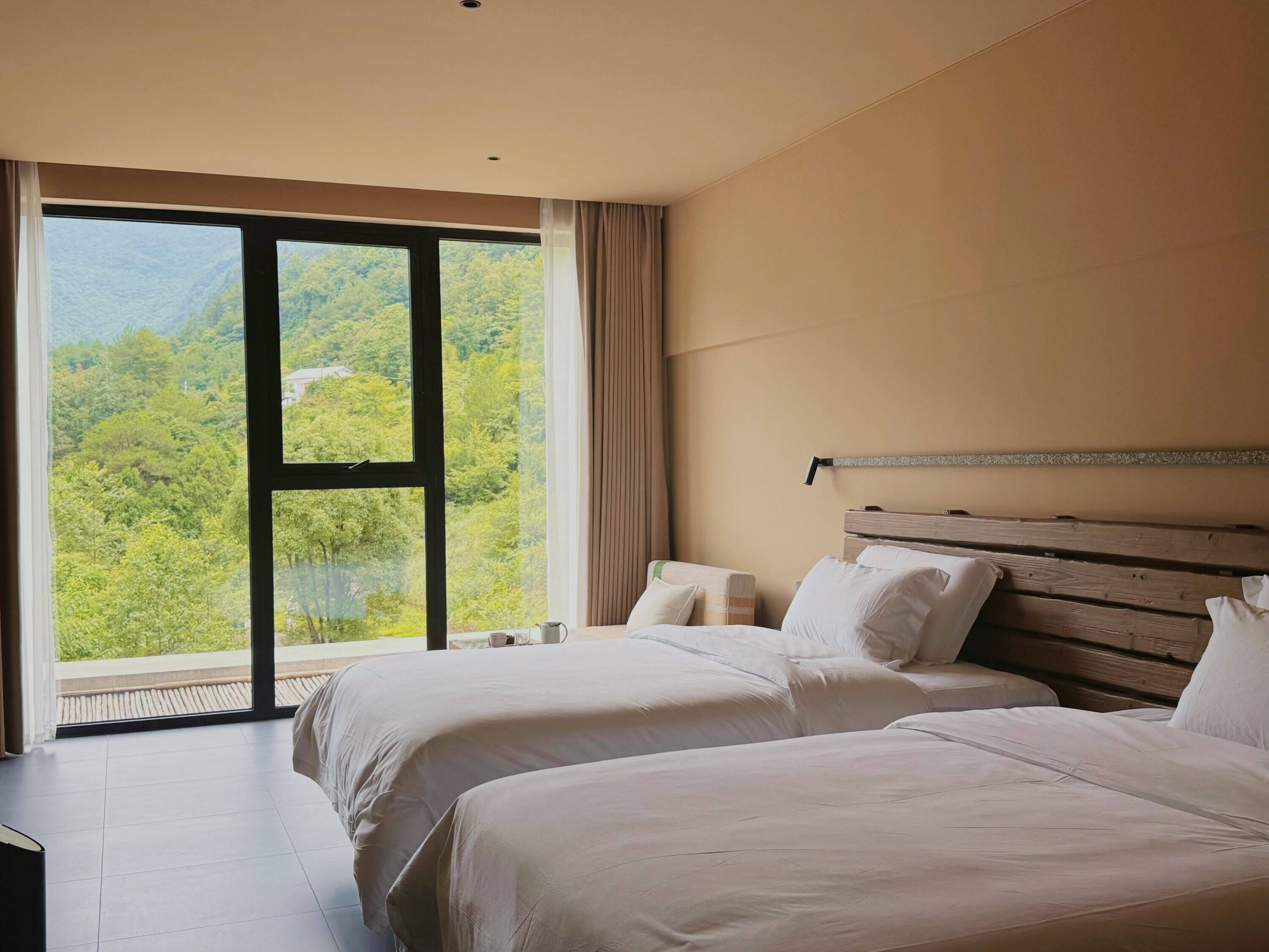 Traditional Twin Room | View from room