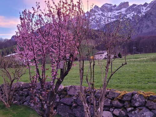 "Vreneli" by Interhome