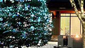 Ein Weihnachtsbaum mit Lichterketten vor einem Gebäude mit Fenster und Tür.
