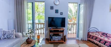 电视、DVD 播放器