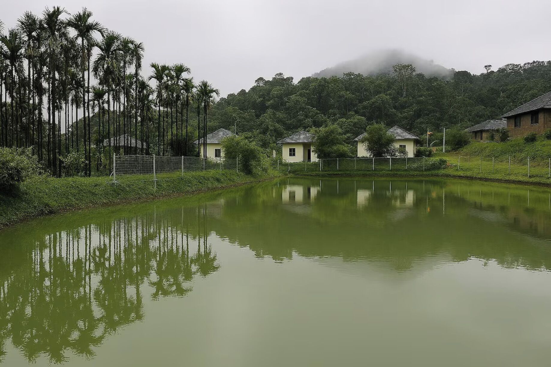 A calm lake with reflections of trees and houses, surrounded by greenery and a misty mountain in the background.