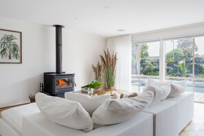 Télévision, cheminée, livres, chaîne hi-fi