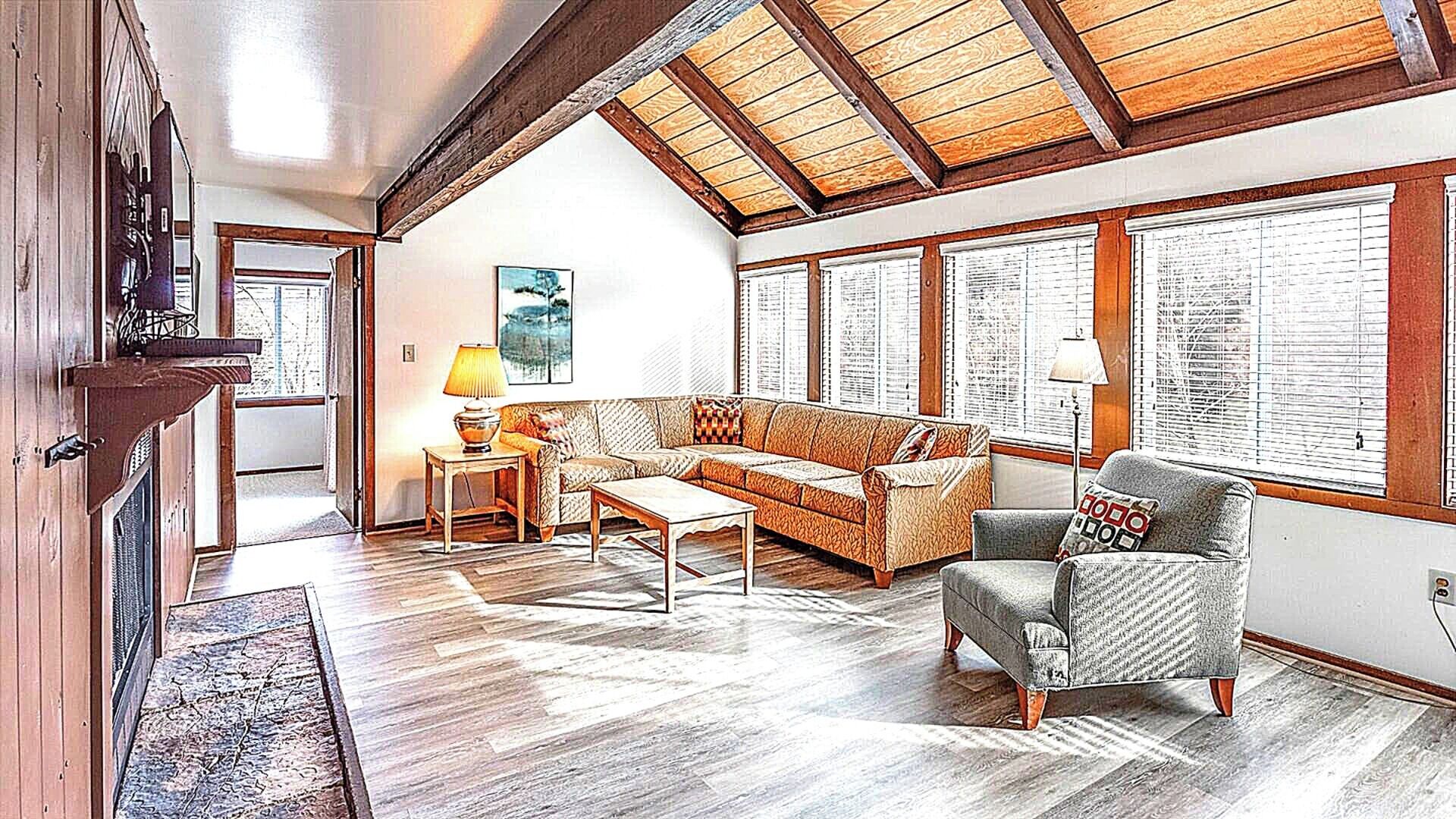 TV, fireplace, books