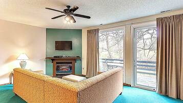 TV, fireplace, books