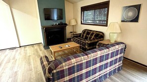 TV, fireplace, books