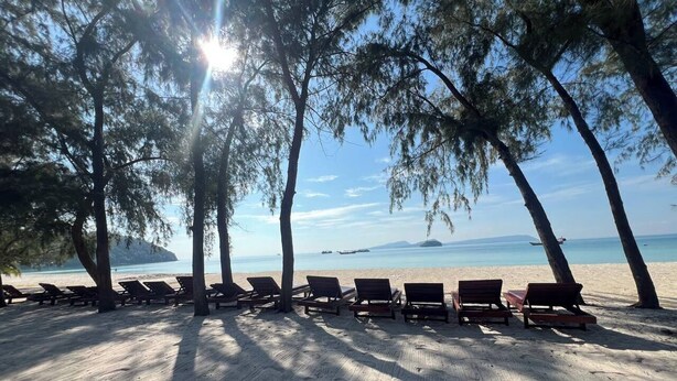 Une plage bordée de rangées de chaises longues en bois, abritée par de grands arbres, avec un ciel dégagé et une mer calme à l’horizon.