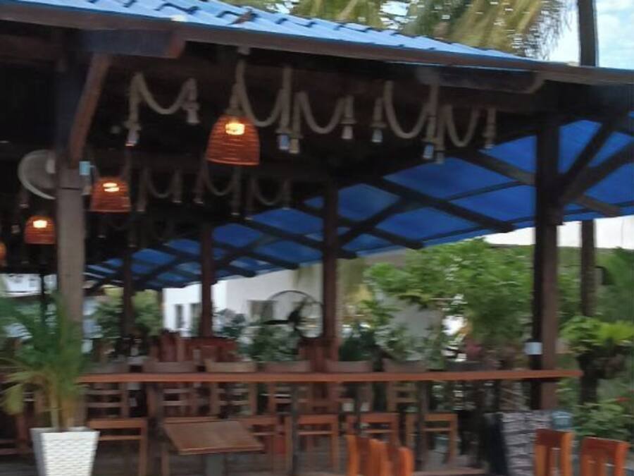 Un espacio al aire libre con mesas y sillas de madera, una zona cubierta con luces colgantes y palmeras de fondo.
